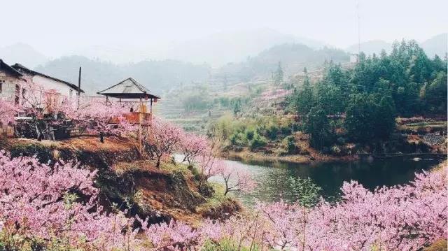 中國的桃花源和西方的烏托邦，是全人類的精神遺產(chǎn)